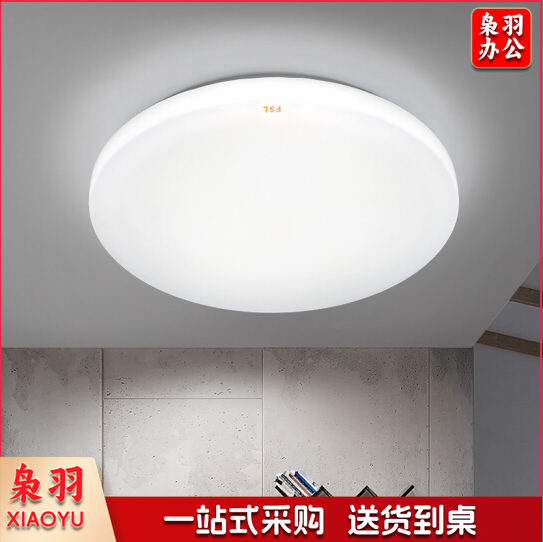 室内吸顶灯  22W