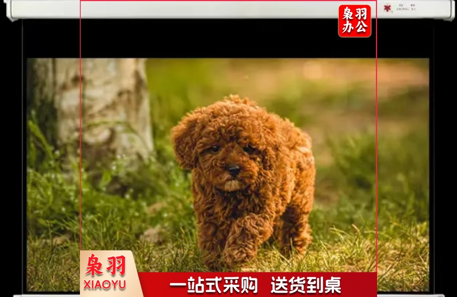 红叶新投影幕120英寸16:9电动遥控白玻纤幕投影仪幕布家用投屏布背景墙家庭影院投影屏投屏高清