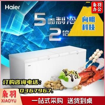 海尔（Haier）冰柜商用大容量829升 BC/BD-829HEZ冷藏箱柜