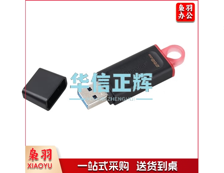 金士顿(Kingston)256GB USB3.2 Gen 1 U盘 DTX 大容量U盘 时尚设计 轻巧便携