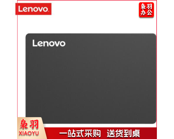 *联想（Lenovo）SSD固态硬盘 256G SATA3.0 
