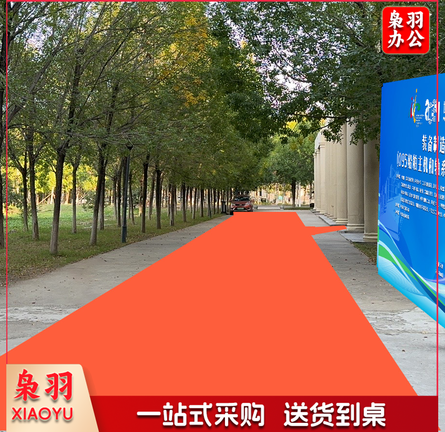 红地毯 3*50m 定制