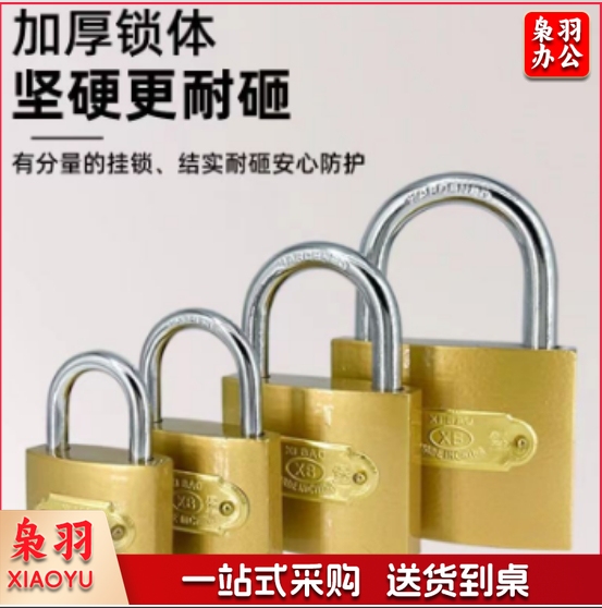 挂锁通用锁具门锁带钥匙 25cm