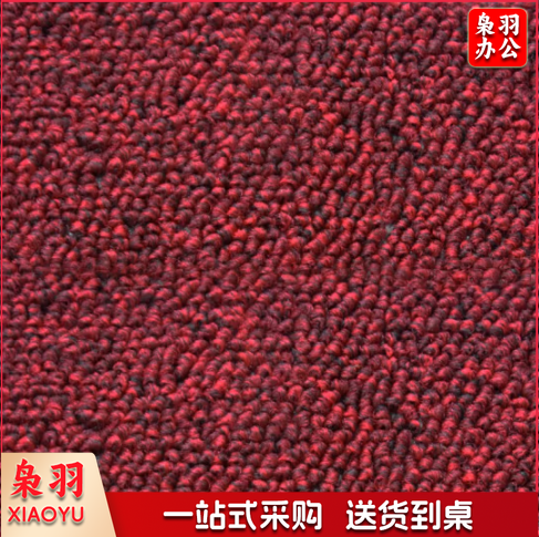 纯灰红色蓝色加密大圈绒满铺地毯办公室台球室健身房教室地毯 1平米价格(不含安装)