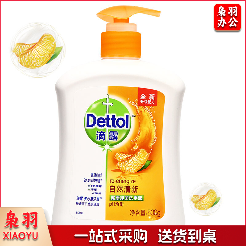 滴露500ml自然清新洗手液
