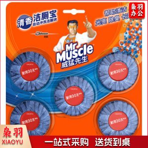 威猛先生 洁厕宝 40g*5块