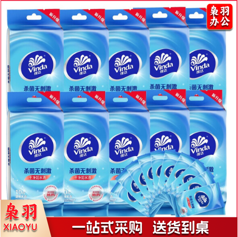 维达  VW1009湿巾 10片装*10包