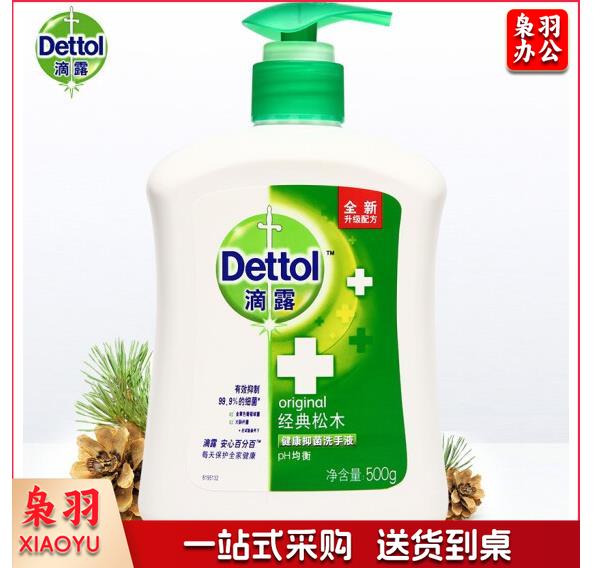 滴露 500g 健康抑菌洗手液经典松木