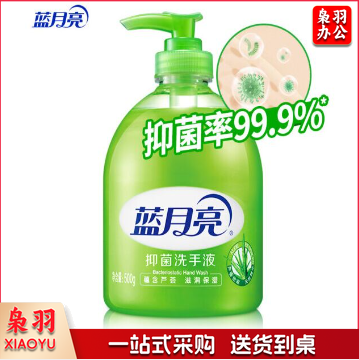 蓝月亮 洗手液500g