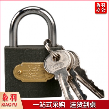 三环 铁挂锁 38mm(配6把钥匙)