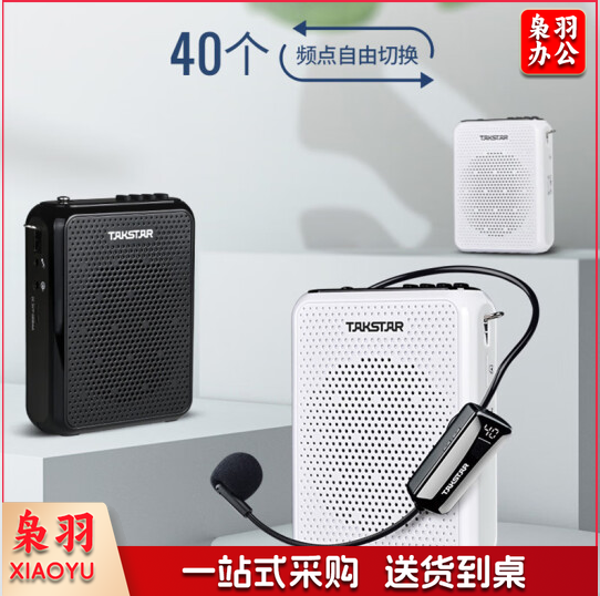 得胜(TAKSTAR)E300W 无线小蜜蜂扩音器教师专用大功率喇叭导游蓝牙小音箱FM收音机