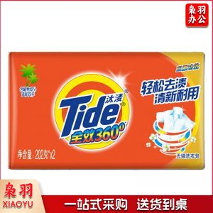 汰渍 全效360度无磷洗衣皂 202g*2块 柠檬清香