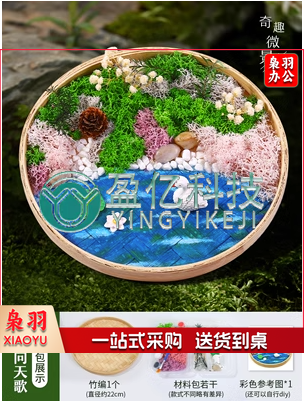 永生苔藓画材料包竹编筐手工DIY竹框创意植物画绿植相框暖场团建 曲项向天歌