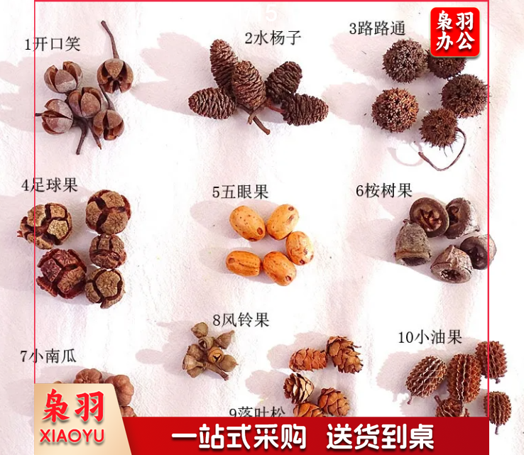 干花干果组合套装幼儿园DIY手工材料包松果橡果干花摆件拍照道具