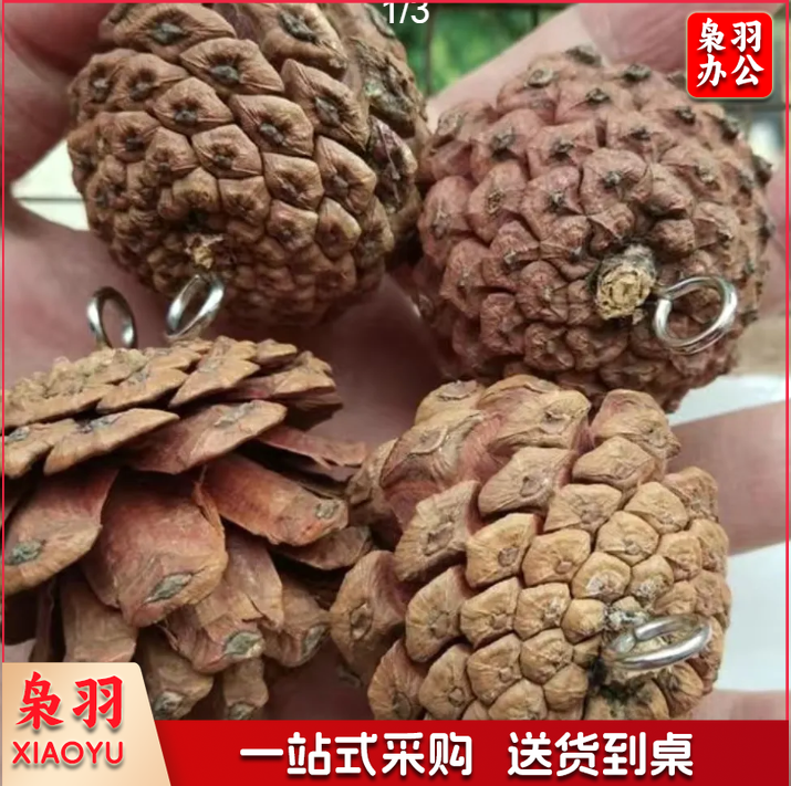 圣诞松果带钉松果天然手工圣诞装饰松果挂件摄影道具diy鹦鹉玩具