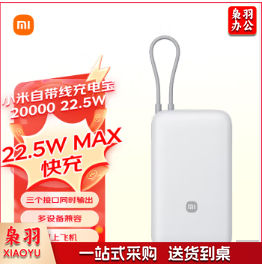 小米(MI)小米自带线充电宝 20000 22.5W 浅灰 可上飞机 多彩便携 有线无线自在充电 iPhone安卓可用