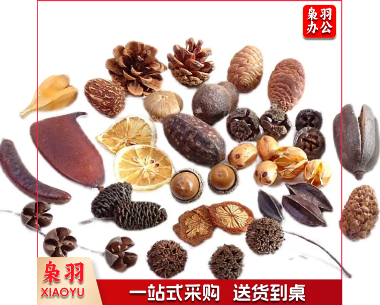 干花干果组合套装幼儿园DIY手工材料包松果橡果干花摆件拍照道具混装100个