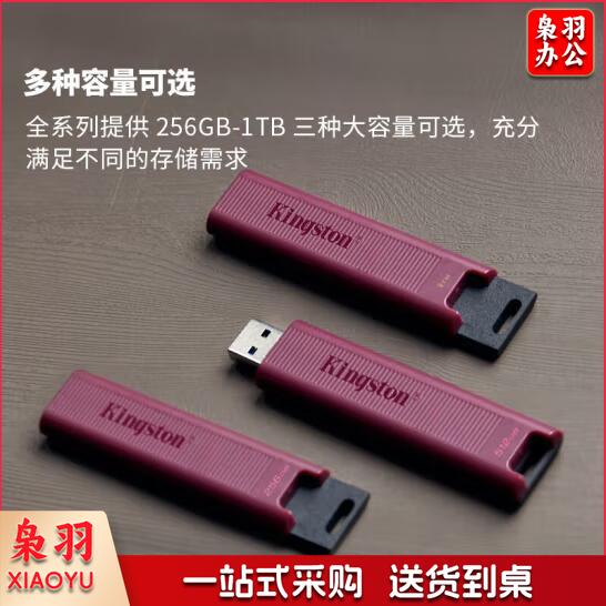  金士顿（Kingston）1TB USB3.2 Type-A 大容量固态U盘  闪存  优盘  DTMAX 读速高达1000MB/s 写速900MB/s 学习办公投标电脑通用