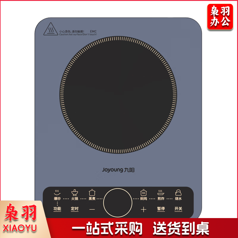 九阳（Joyoung）电磁炉电陶炉电磁灶电池炉2200W家用带锅一键爆炒定时多功能炫彩大面板C22S-N410-A1