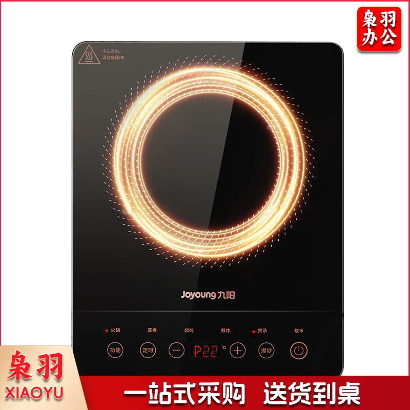 九阳（Joyoung）电磁炉电陶炉2200W大功率家用触控按键耐用面板十档火力纤薄定时功能电磁灶火锅炉C21S-C2130
