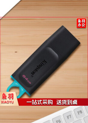 金士顿（Kingston） DTX 64GB USB3.2 U盘