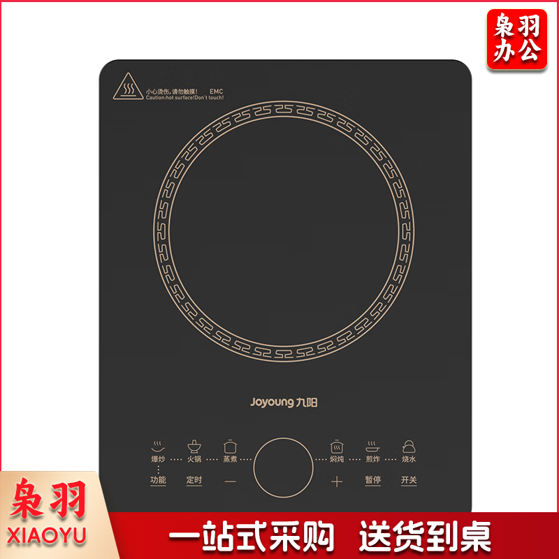 九阳（Joyoung）电磁炉电陶炉2200W大功率家用触控按键耐用面板十档火力纤薄定时功能电磁灶火锅炉C22S-N650