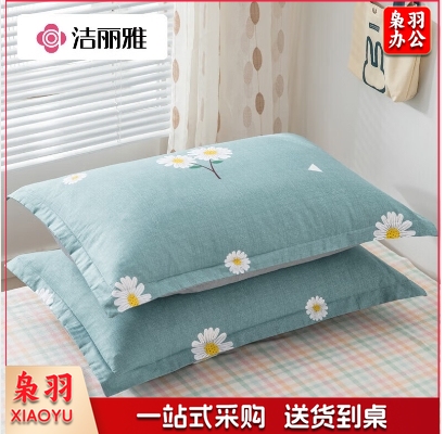洁丽雅（Grace）纯棉枕套一对 加厚家用印花枕头套枕芯套花漾-蓝48*74cm.