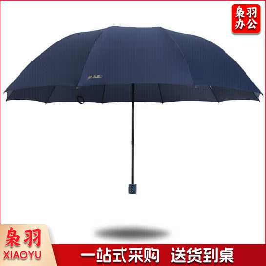 天堂伞 雨伞 加固10骨