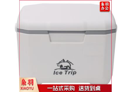 6L保温箱母乳保鲜箱保热小型车载冷藏箱户外小冰箱食品保温箱 