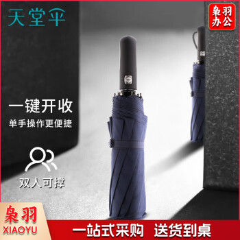 天堂 晴雨伞 10骨加固一键开收 易甩干简约全自动雨伞 藏青