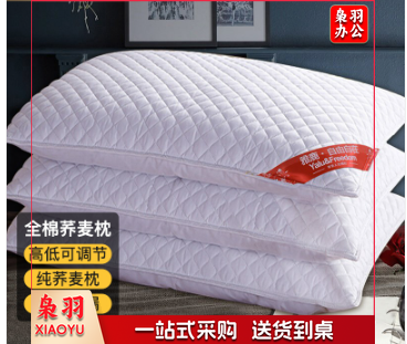 荞麦枕头 100%荞麦皮荞麦壳填充枕芯全棉花草枕约5斤颈椎枕可拆洗46*72cm单只装 纯白色