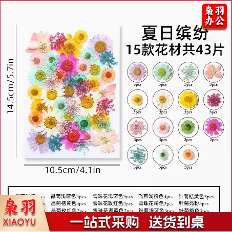 干花diy材料压花书签押花画满天星玫瑰真树叶植物标本夏日缤纷(约40片)滴胶