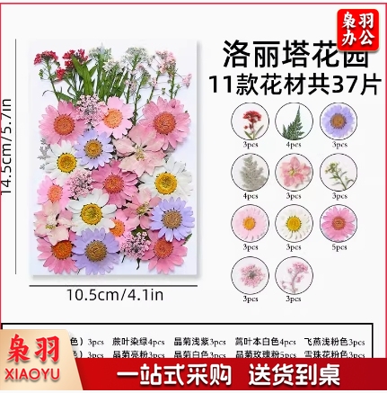 干花diy材料压花书签押花画满天星玫瑰真树叶植物标本滴胶