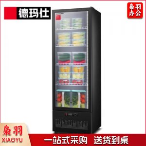 德玛仕 DEMASHI  LG-300ZH 保鲜柜 食品留样柜 单位学校公司幼儿园食堂保鲜冷藏展示陈列柜230升 工程款