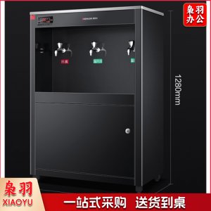 德玛仕 DEMASHI SRZ-30/SRZ-3L-L10 直饮水机 商用学校烧水机 学校用开水器 商用净水器 两开一冰