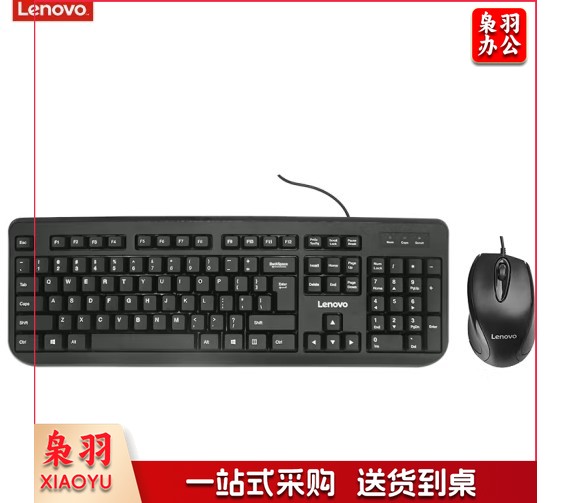 联想(Lenovo)有线键盘鼠标套装 USB键鼠套装 巧克力办公鼠标键盘套装 笔记本台式机电脑键盘 FBL322有线键盘鼠标套装