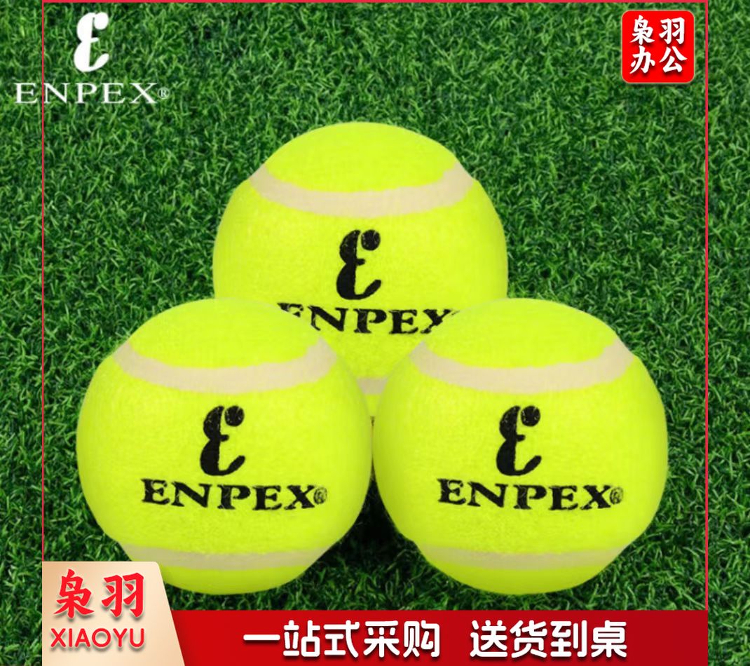 ENPEX乐士三只装网球