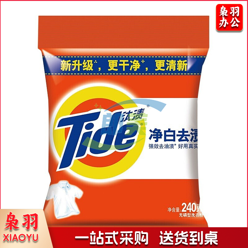 汰渍净白去渍洗衣粉240g