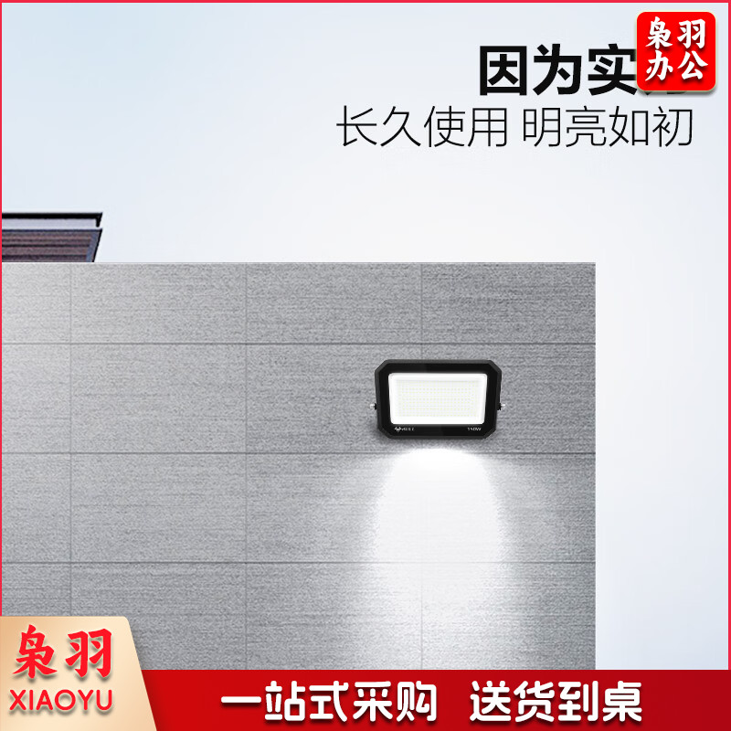 公牛（BULL）LED投光灯庭院灯工地灯园林照明露营灯 IP65防水100W-6500K白光