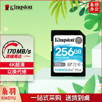 金士顿（Kingston）256GB SD存储卡 U3 V30 相机内存卡 高速sd卡大卡 4K超高清拍摄 读速170MB/s 写速90MB/s