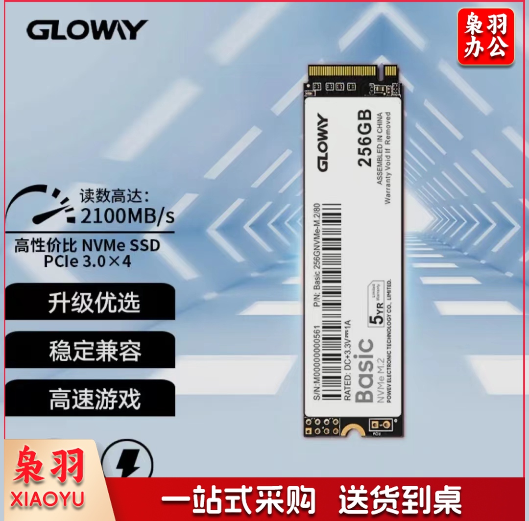 光威 256GB SSD固态硬盘 M.2接口(NVMe协议) Basic-基础版 TLC颗粒