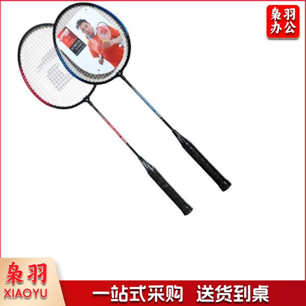 红双喜（DHS）羽毛球拍对拍 训练羽毛球拍 208 一副