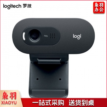 罗技(Logitech)C505e高清网络摄像头 电脑办公摄像头 视频会议网课在线远程教育摄像头 C505e