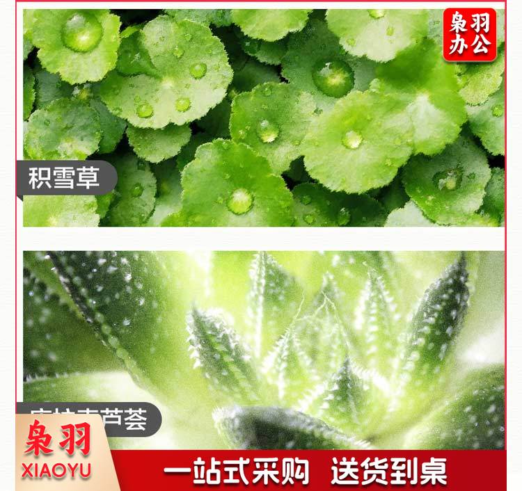六神180ml喷雾花露水7