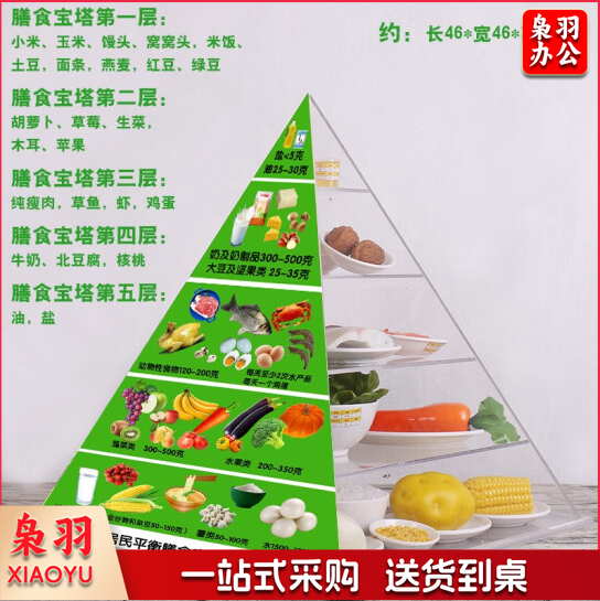 居民平衡膳食模型 营养指导食物交换份教学模型   2022版
