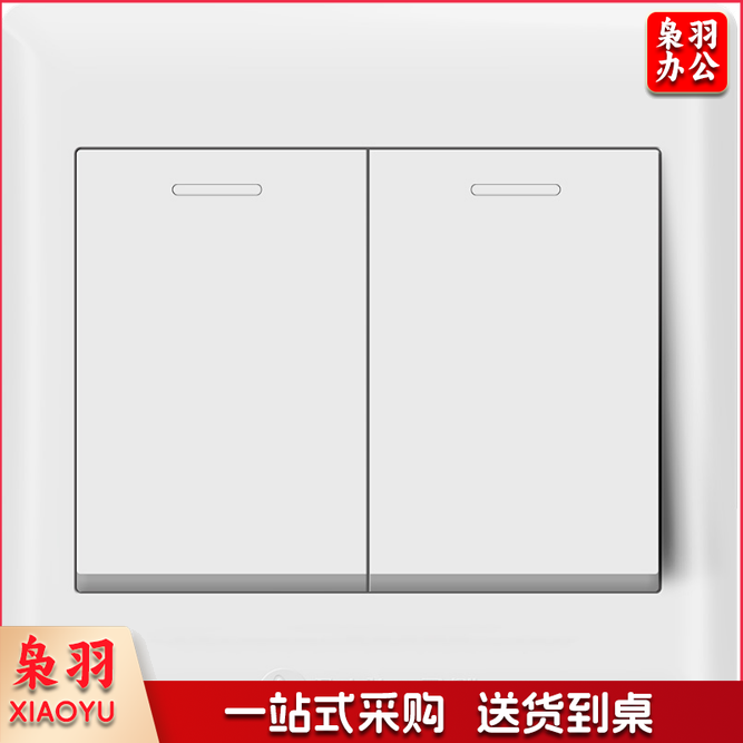 飞雕 二位开关 86型墙壁面开关E5-A 白色 双开单控 二开墙壁开关