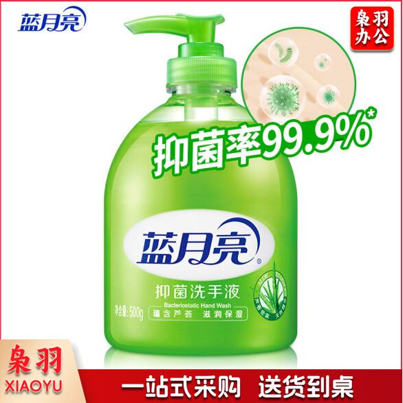 蓝月亮洗手液 芦荟抑菌 500g/瓶
