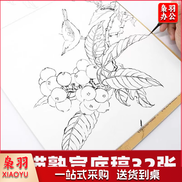 工笔画底稿白描花鸟 综合款底稿32张   货号：JC