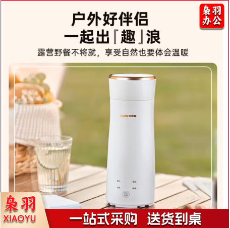 奥克斯(AUX)电热水杯加热杯热水壶 插电保温烧水杯 迷你便携式旅行出差 智能恒温烧水HX-DR01A