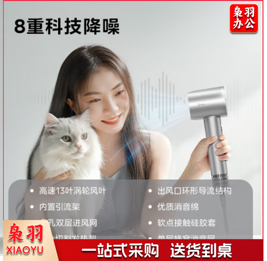 美的(Midea)高速吹风机 家用吹风筒 大风力速干 高浓度等离子护发电吹风 FG208